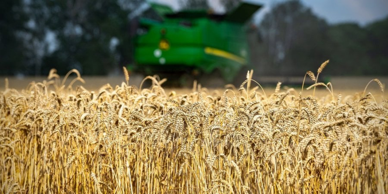 Новини компаній: 1,84 млрд грн податків сплатила Астарта до бюджету за 10 місяців 2023 року