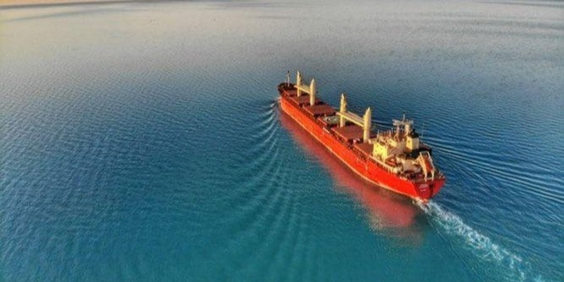 Витрати, кадри, російська блокада. Бізнес назвав найбільші проблеми у транспортній галузі