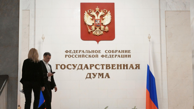 Источник: ГД отложила ратификацию протокола к торговому договору с Абхазией
