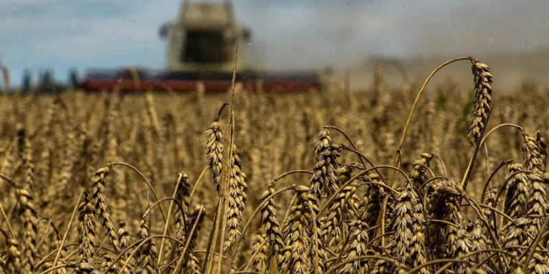 П&rsquo;яте колесо до&nbsp;воза. Росія не&nbsp;потрібна для постачання українського зерна на міжнародні ринки