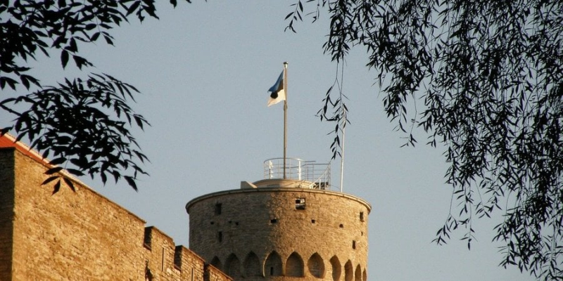 Уряд Естонії схвалив використання заморожених активів&nbsp;РФ для відшкодування збитків Україні